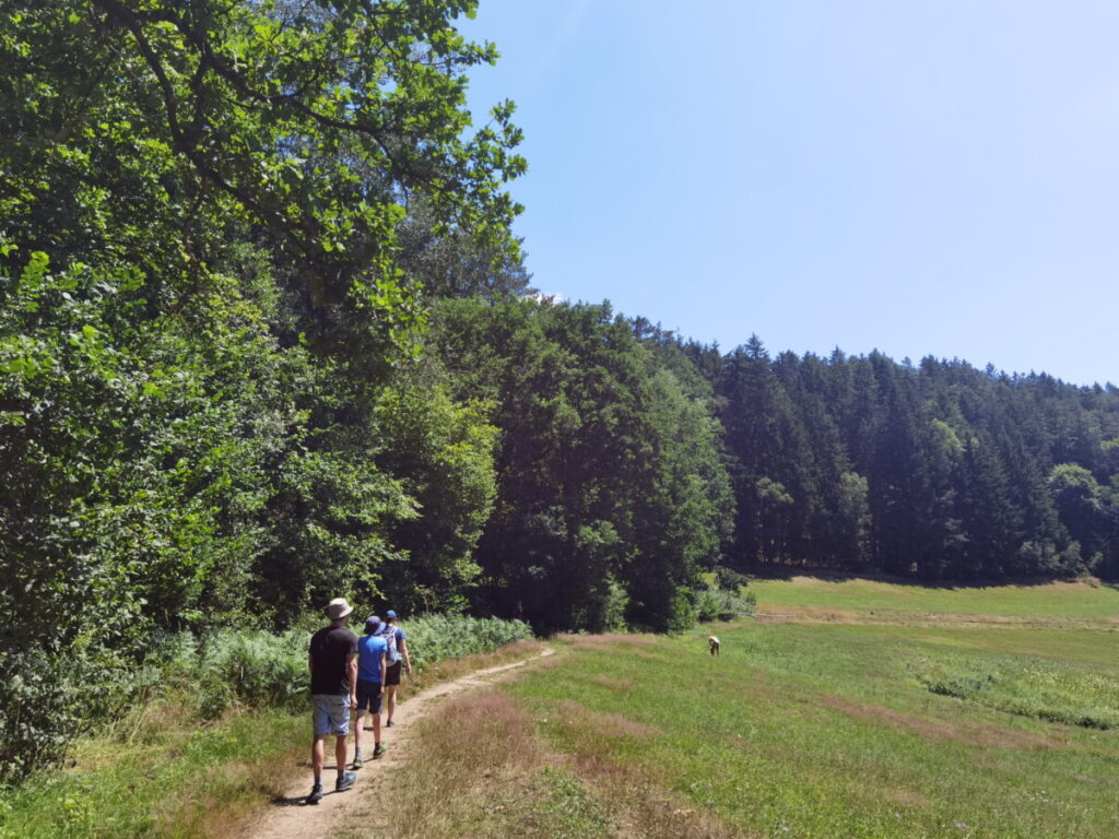 Höllbachtal wandern