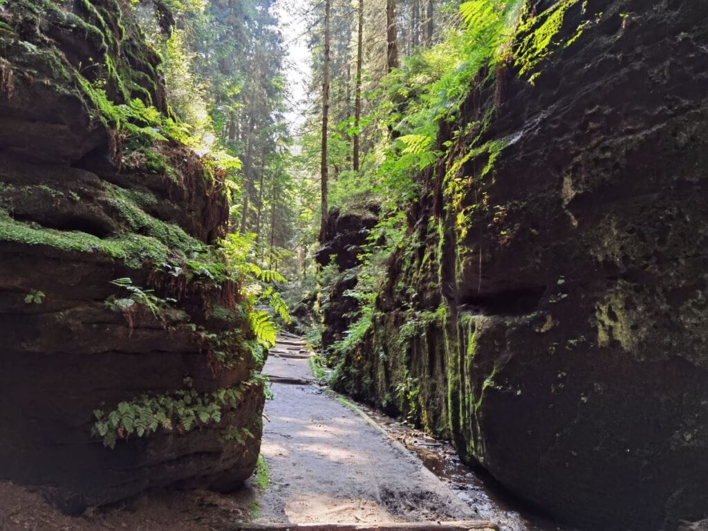 Vom Steinernen Tisch durch den Höllengrund in der Sächsischen Schweiz wandern