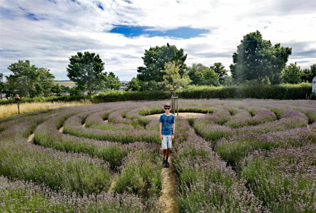 Hunsrück Geheimtipp: Das Lavendel-Labyrinth in Kastellaun