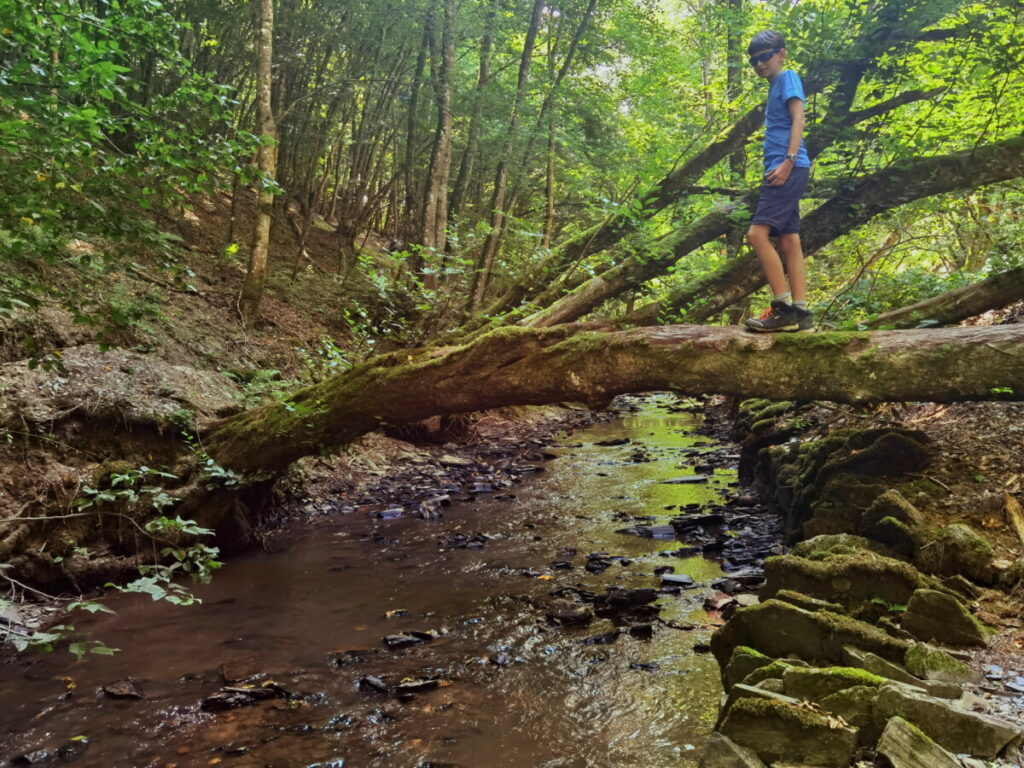 Hunsrück wandern mit Kindern - die Traumschleifen bieten schöne Möglichkeiten