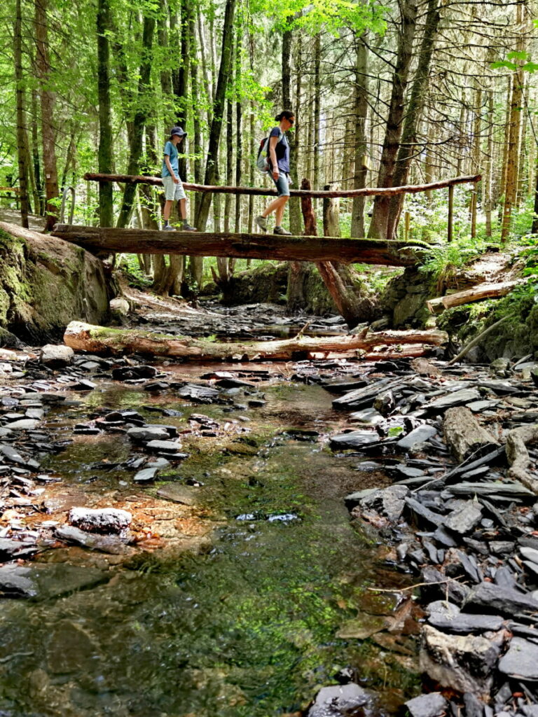 Am Bach im Hunsrück wandern mit Kindern