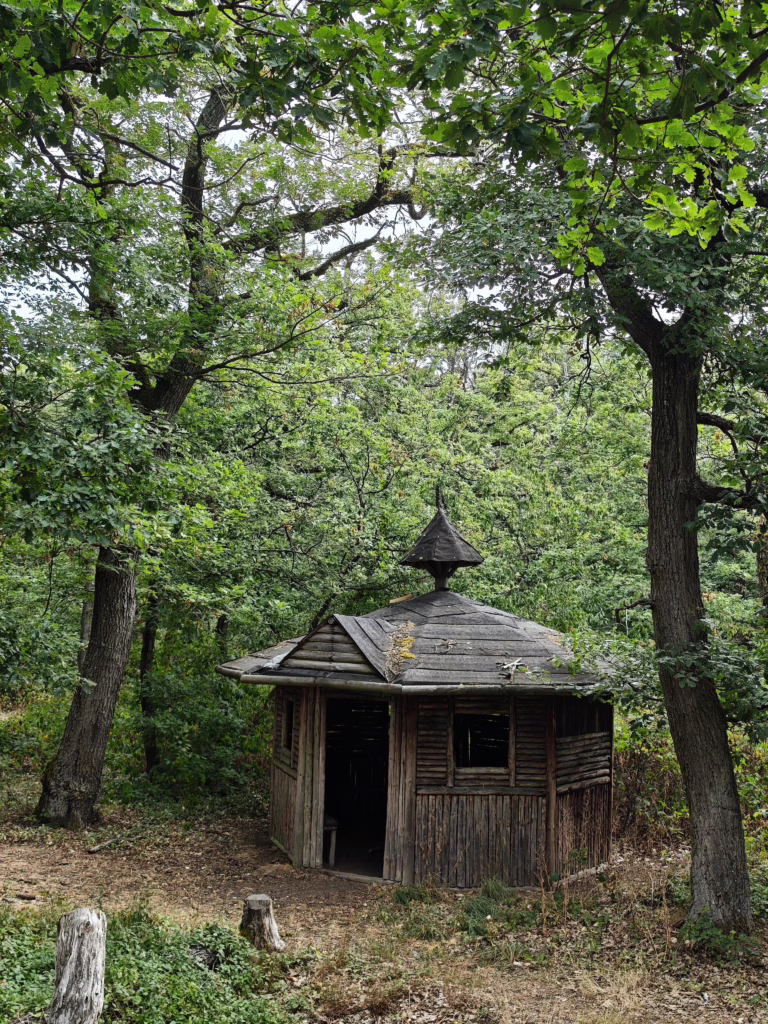 Rotenfels