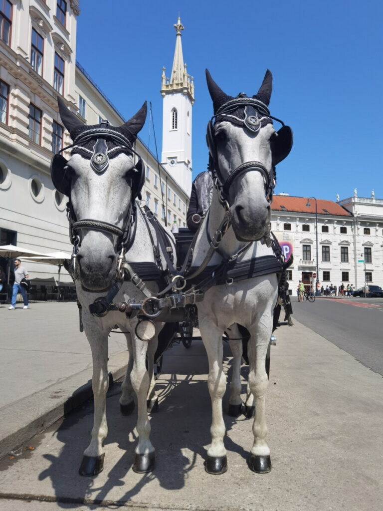 Wien mit Kindern