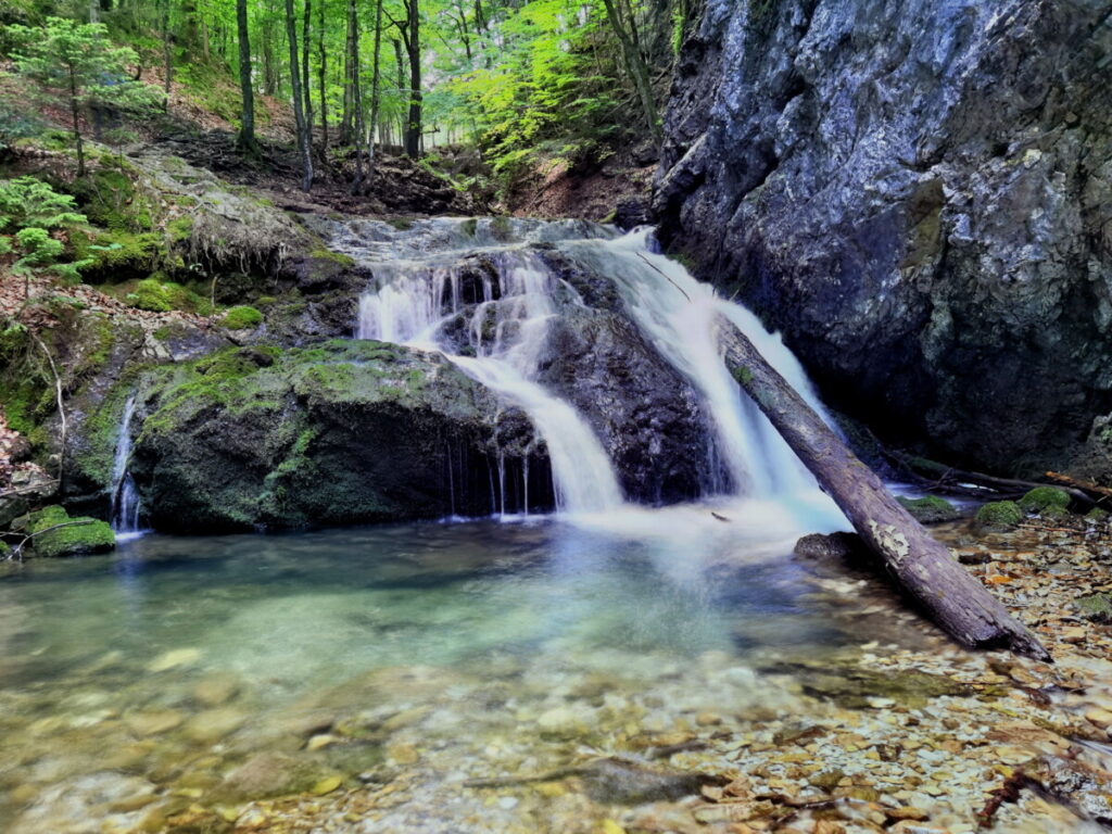 Zwischen den Fallstufen der Josefsthaler Wasserfälle findest du diese großen Gumpen