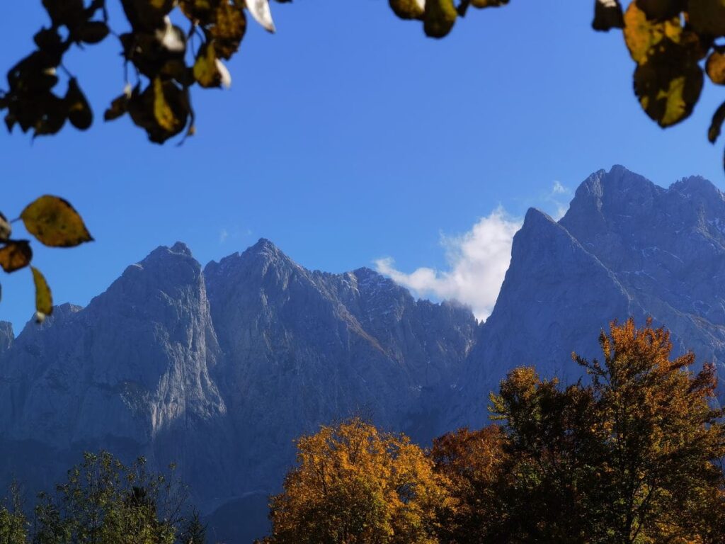 Goldener Herbst im Kaisertal - mit diesem schönen Blick auf die Spitzen des Kaisergebirge Wilder Kaiser