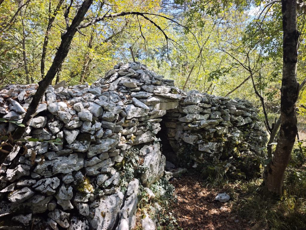 Für uns ging es mitten durch das Lebendige Museum, vorbei an Weinreben und schönen Orten im Karst