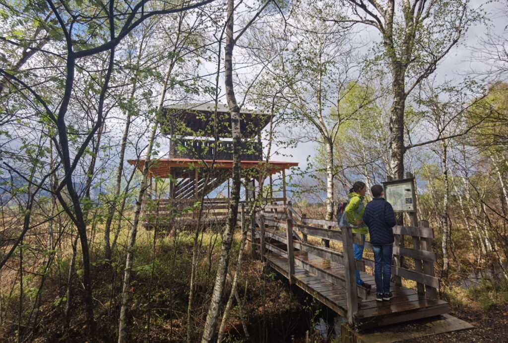 Der Aussichtsturm ist der höchste Punkt auf dem Kendlmühlfilzen Rundweg 