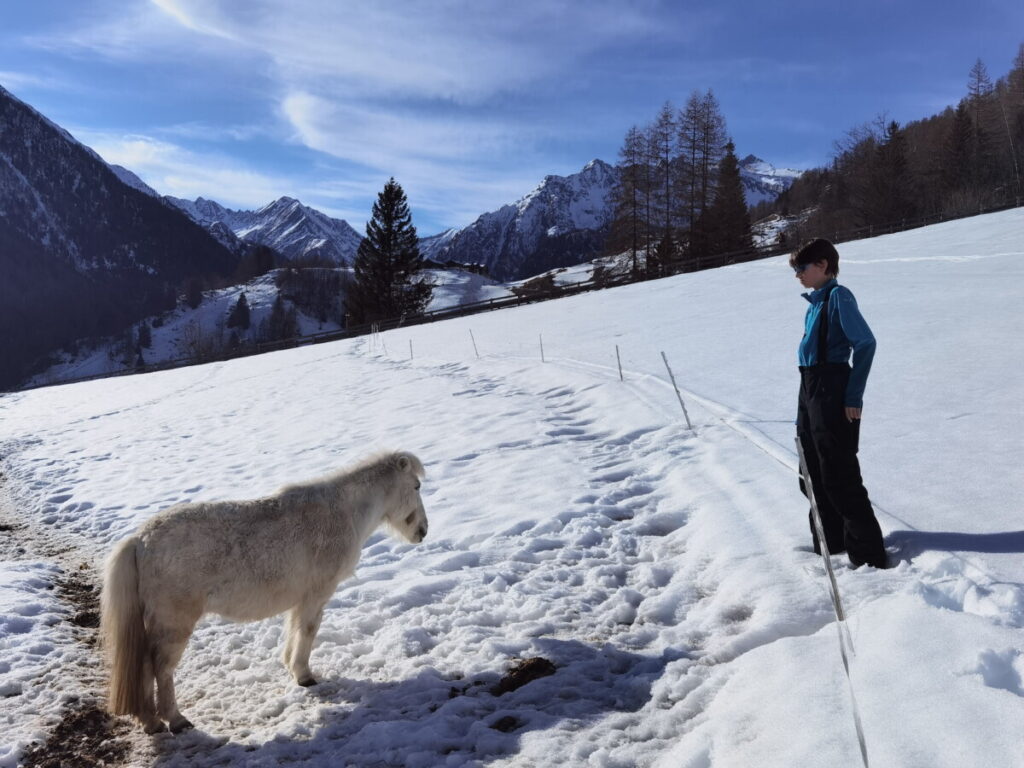 Auf diesem Kinderbauernhof dürfen die Tiere auch im Winter ins Freie