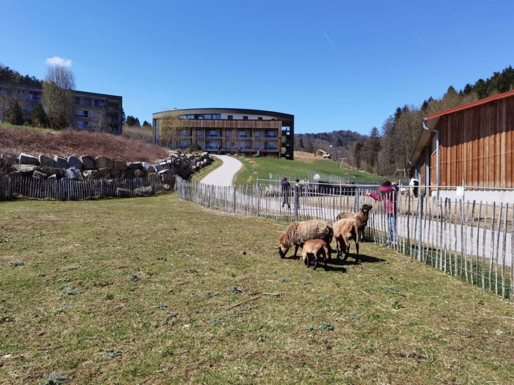 Kinderhotel Bayerischer Wald mit Bauernhof