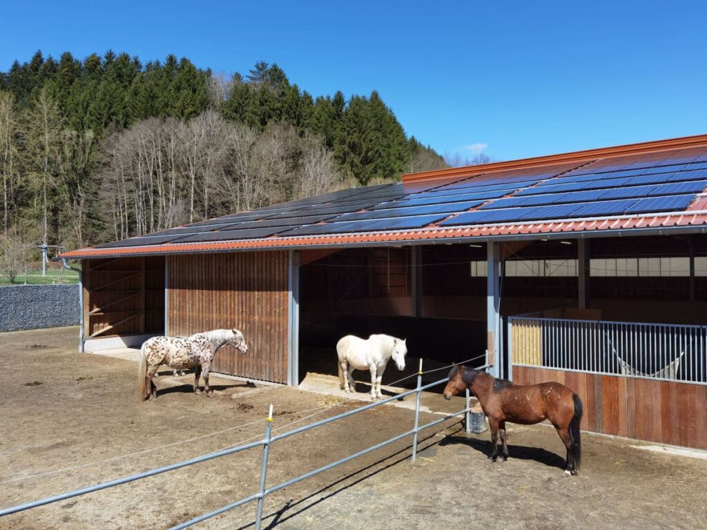 Kinderhotel Bayerischer Wald mit Bauernhof