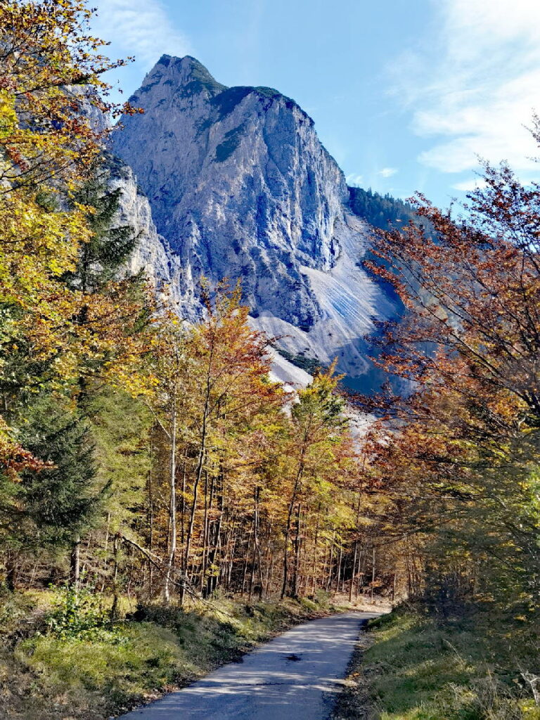 Kinderwagen Wanderung in Tirol - im Herbst durch das Halltal