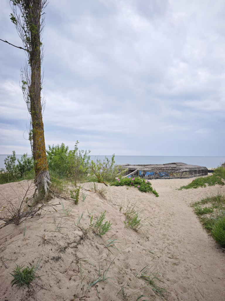 Nur wenige Minuten sind es mit dem Fahrrad von Klaipeda an den Strand