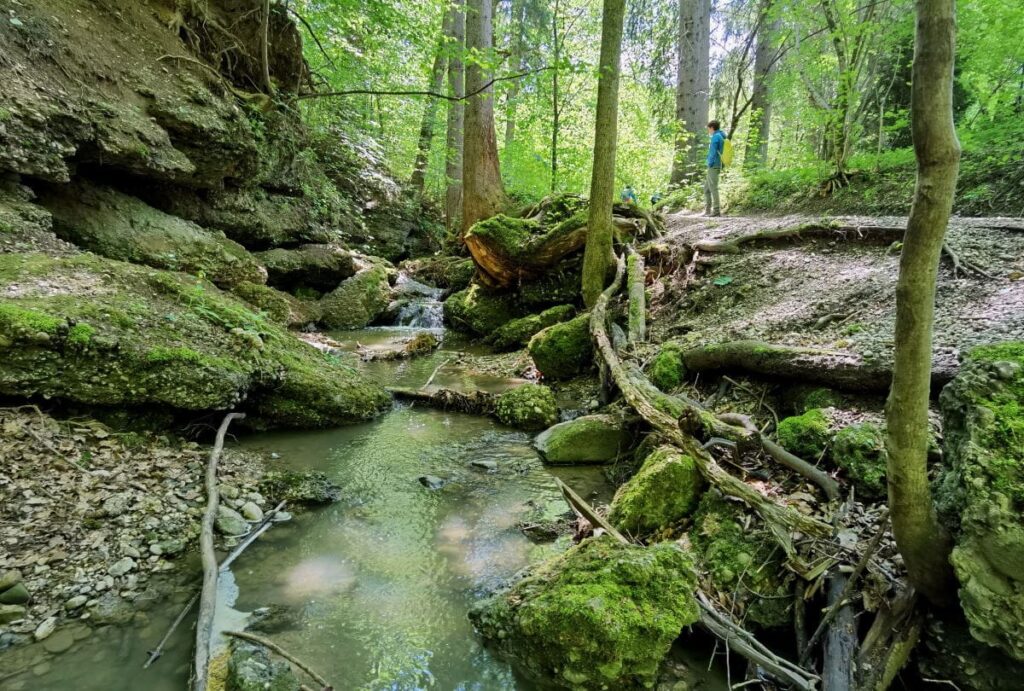 Geheime Klamm in Bayern - die Maisinger Schlucht am Starnberger See