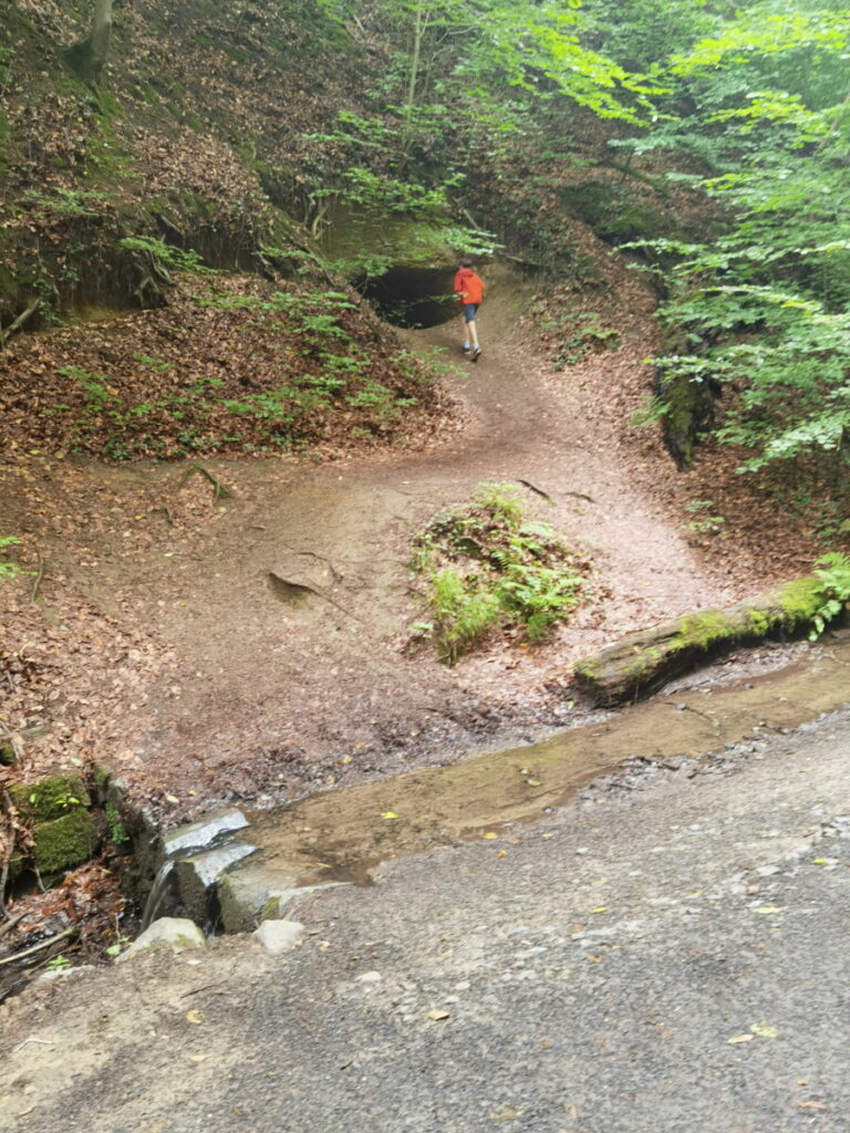 Siebengebirge wandern mit Kindern