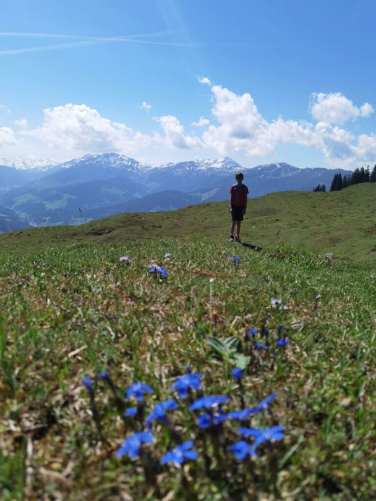 Kragenjoch Wildschönau