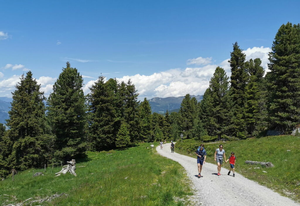 Auf dem Weg zur Kreuzwiesenalm im Zillertal