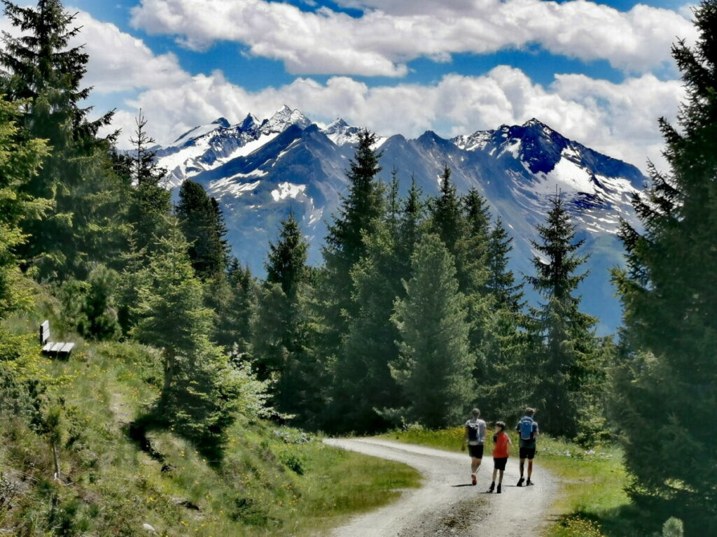 Mit dem Blick auf die Zillertaler Alpen zur Kreuzwiesenalm wandern