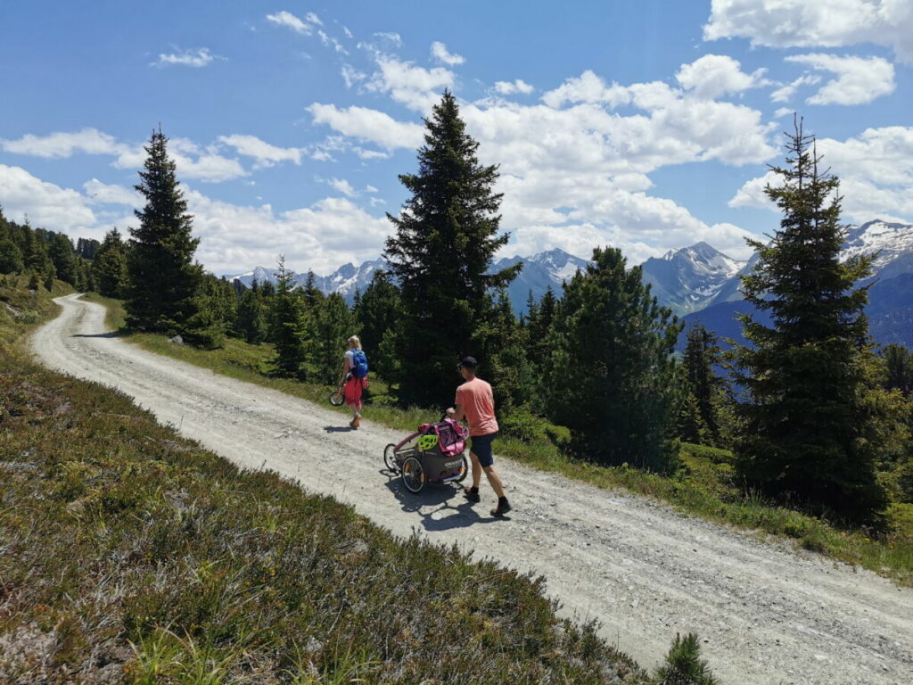 Aussichtsreich zur Kreuzwiesenalm wandern mit Kinderwagen