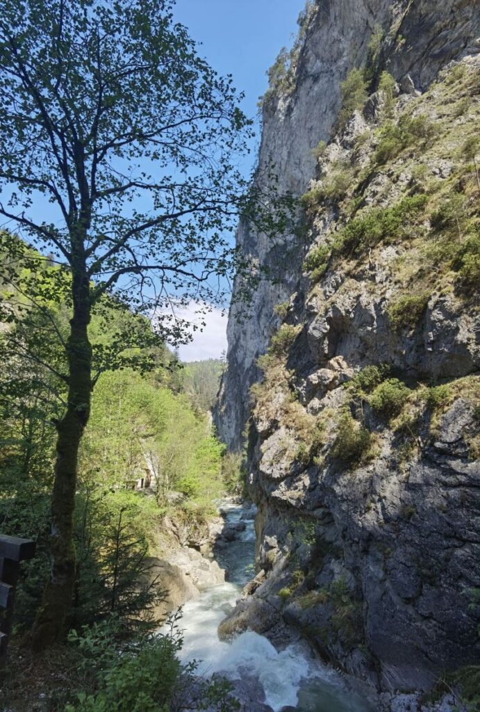 Beachte bei deiner Kundler Klamm Wanderung die bis zu 200 Meter hohen Felswände