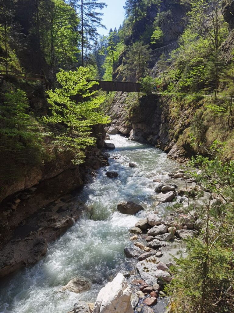 Wildromantisch am Wasser wandern