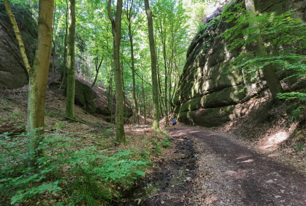 Durch die wildromantische Landgrafenschlucht in Eisenach mit Kindern wandern