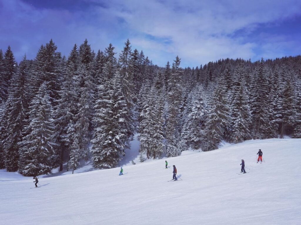 Besonders stimmungsvoll ist das Skifahren bei Neuschnee