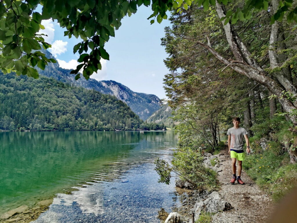 Am Leopoldsteinersee wandern - hier das Nordufer mit dem Steig