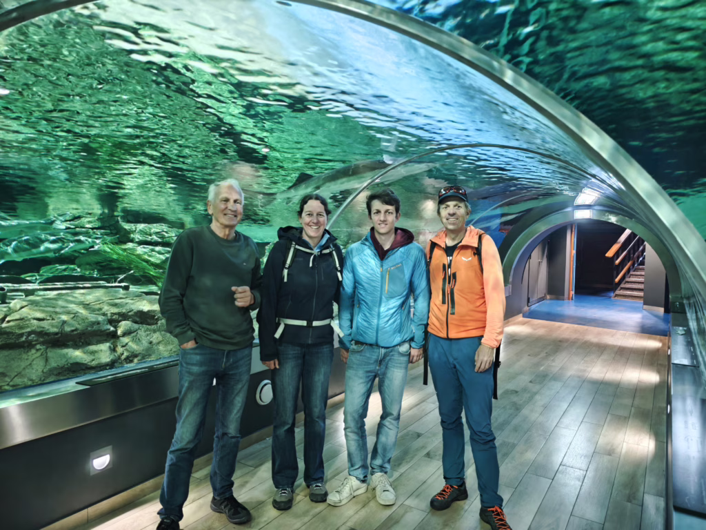 Der Unterwassertunnel im Litauischen Meeresmuseum - hier schwimmen die Haie über deinem Kopf