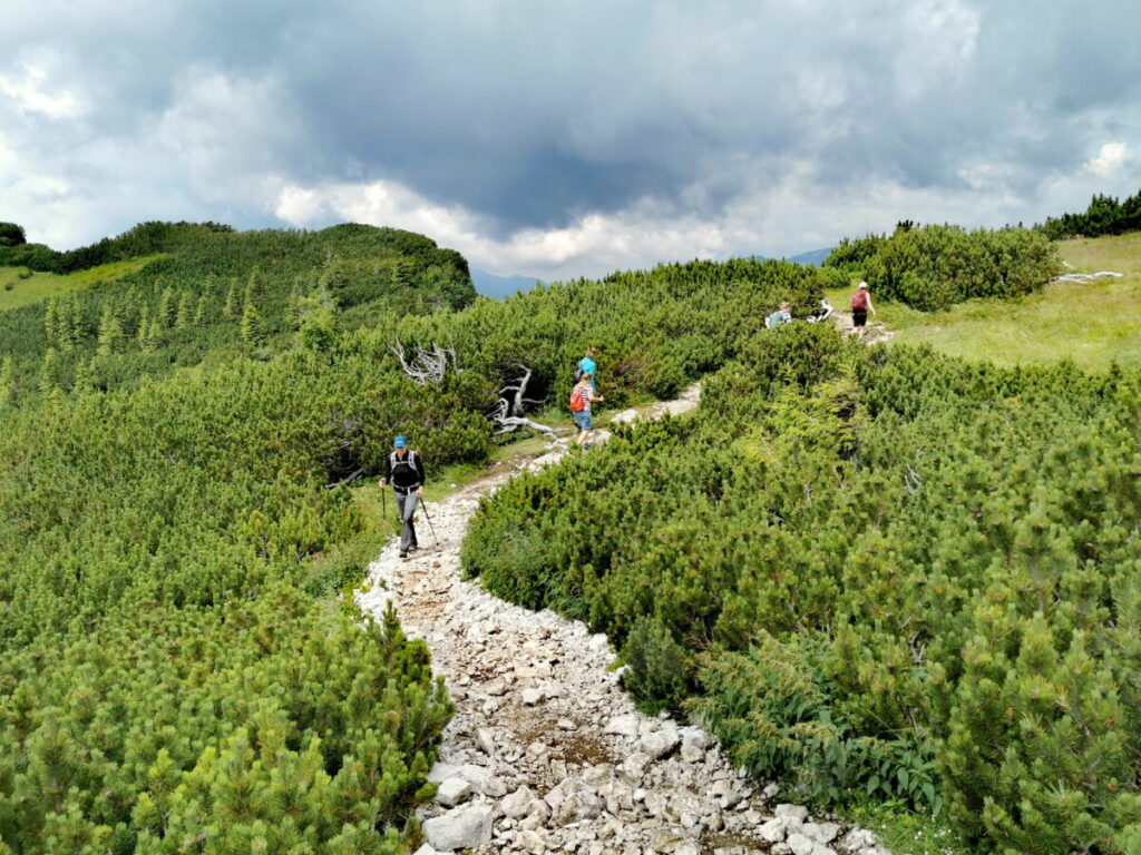 Am Loser wandern - durch die Latschen vom Loser zum Hochanger