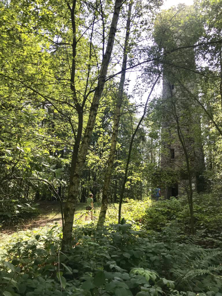 Der Lucas Cranach Turm ist gut im Wald versteckt