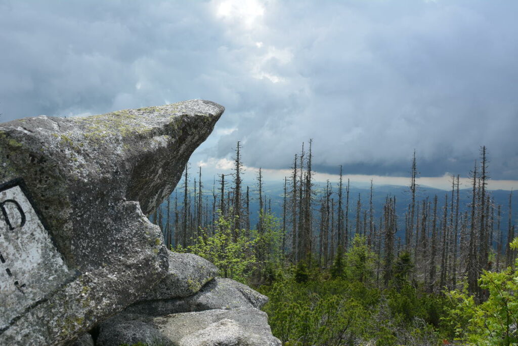 Inmitten dieser Granitsteine kannst du am Lusen wandern