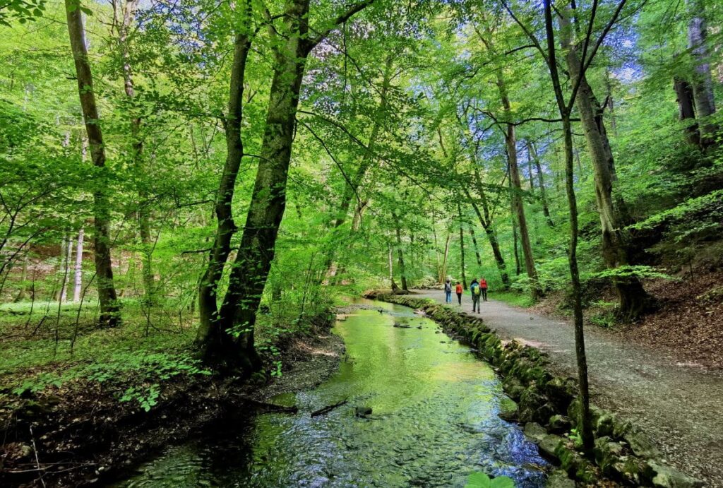 Durch die wildromantische Maisinger Schlucht zwischen Starnberg und Maising wandern