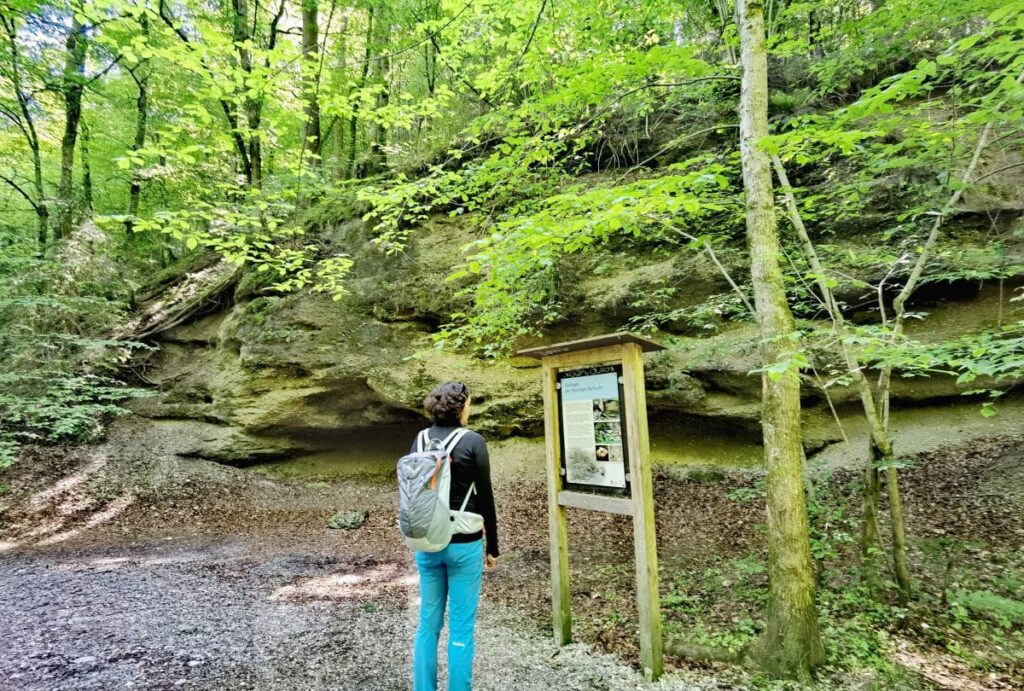 Das Naglfluhgestein in der Maisinger Schlucht