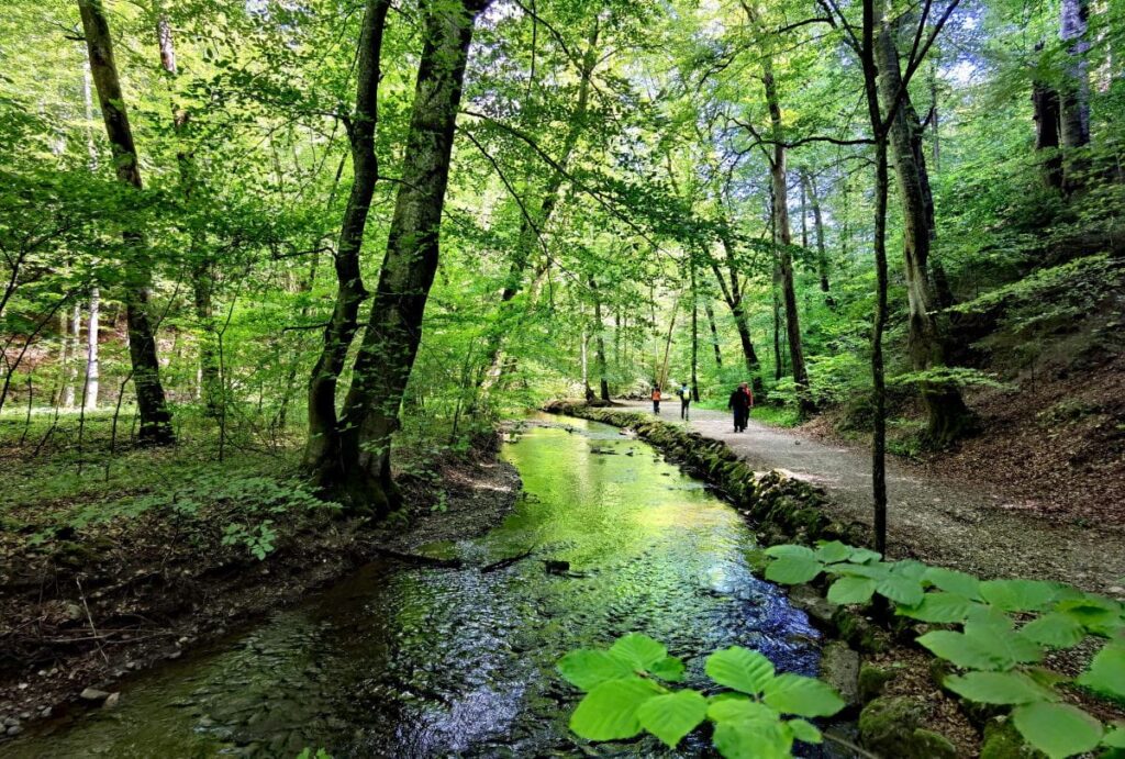 Wildromantisch durch die Maisinger Schlucht wandern - auch mit Kinderwagen oder Laufrad