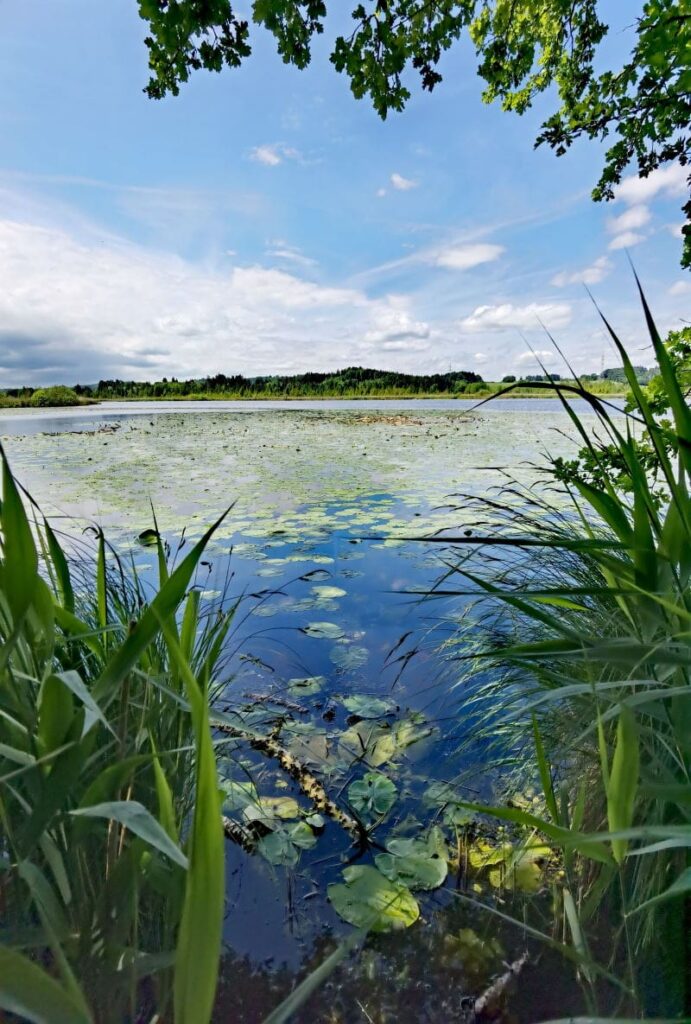 Maisinger See