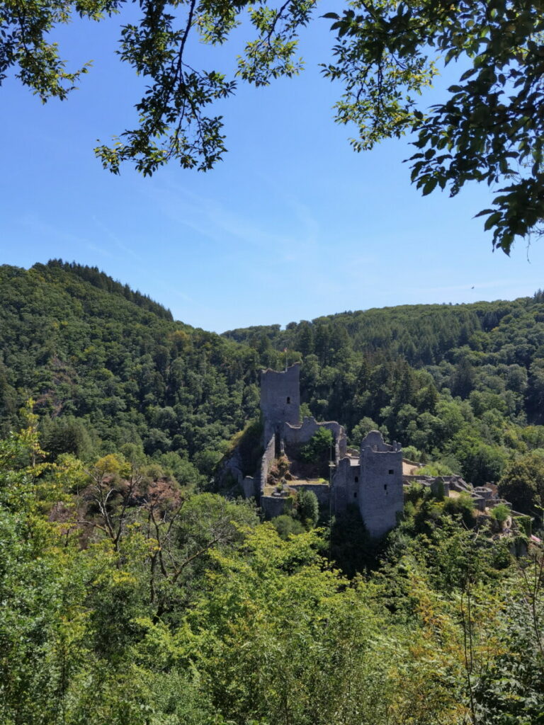 Auch das ist die Eifel mit Kindern - Ausflug nach Manderscheid zu den Burgruinen
