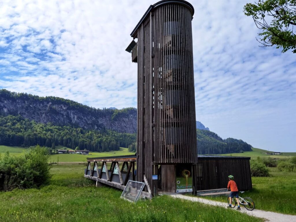 Zum Aussichtspunkt im Moor am Walchsee mit Kindern