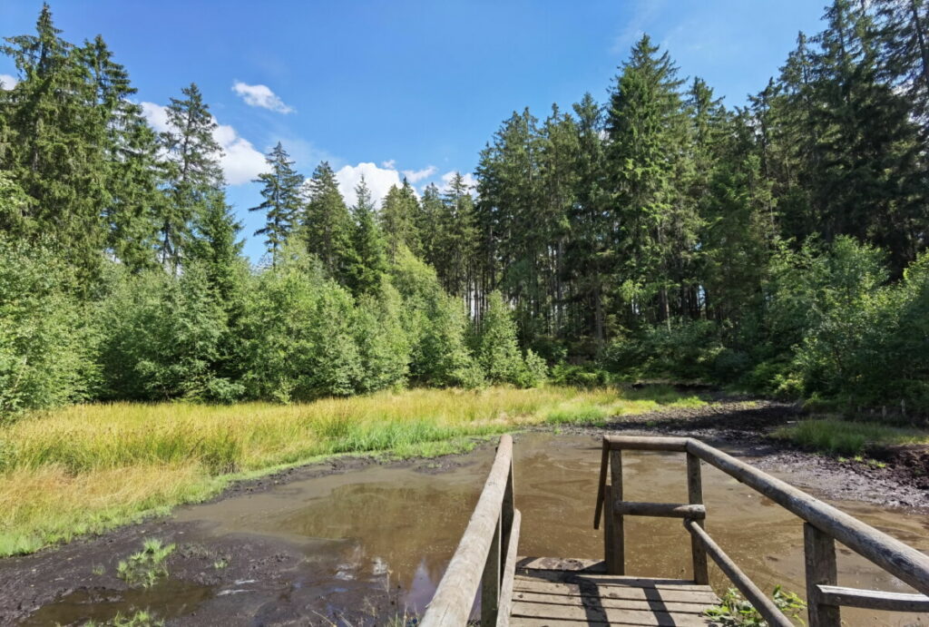 Moorbad Fichtelgebirge mit Kindern