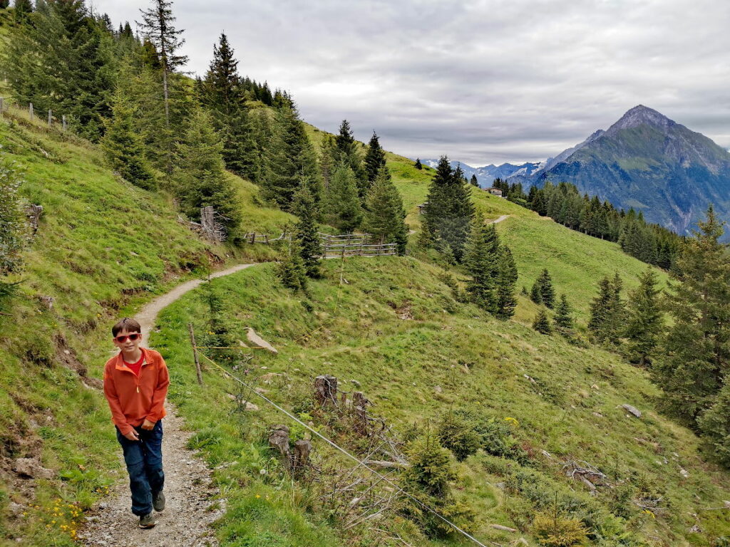 Auf dem Moorlehrpfad Finkenberg wandern