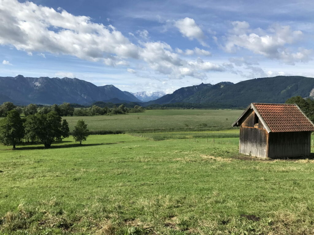 In Murnau wandern mit Kindern - samt Bick über das Murnauer Moos und das Wettersteingebirge