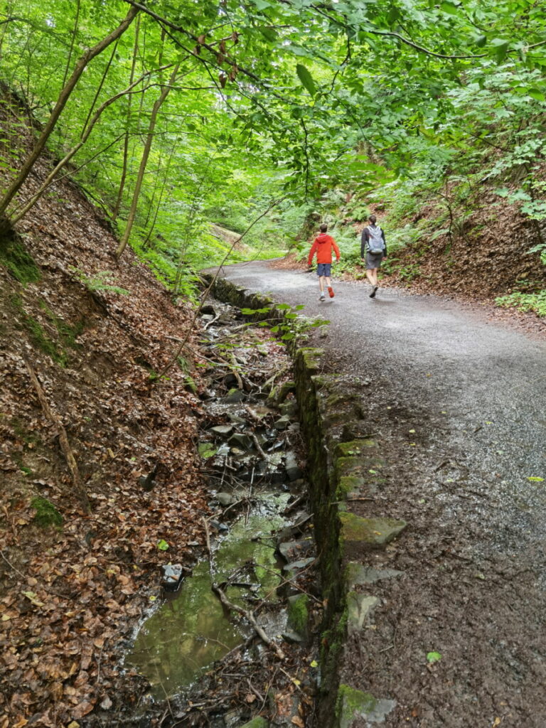 Im Siebengebirge wandern mit Kindern - durch das Nachtigallental auf den Drachenfels