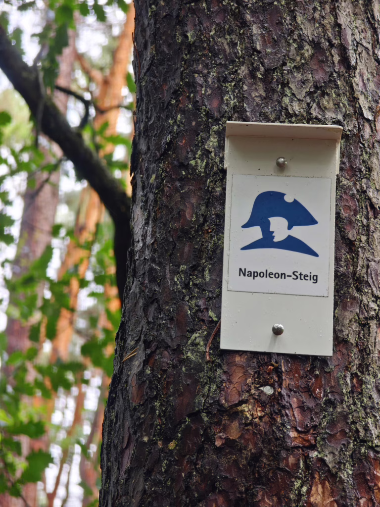 Napoleonsteig Pfälzerwald mit Kindern