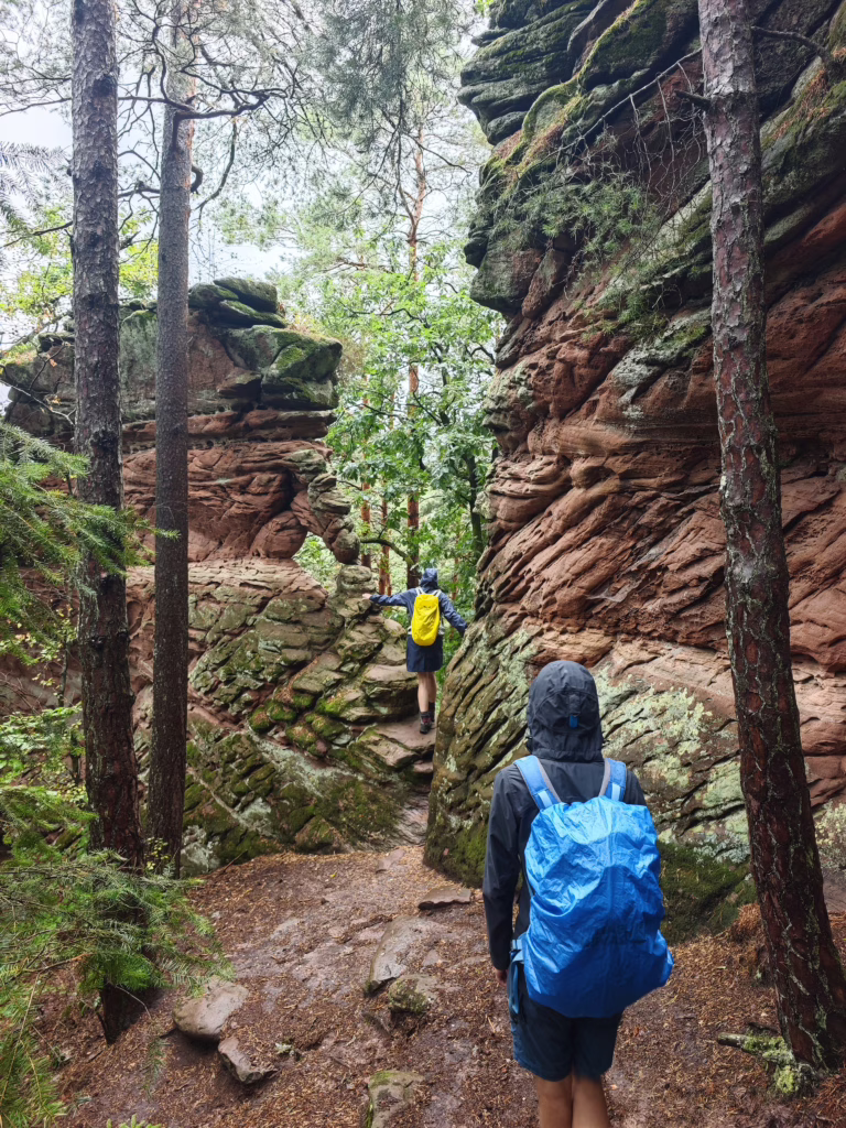 Leider mit Regen: Auf dem Napoleonsteig wandern im Pfälzerwald mit Kindern
