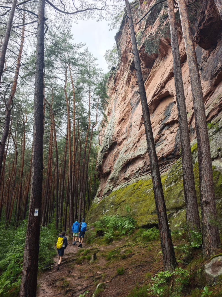 Napoleonsteig Pfälzerwald mit Kindern