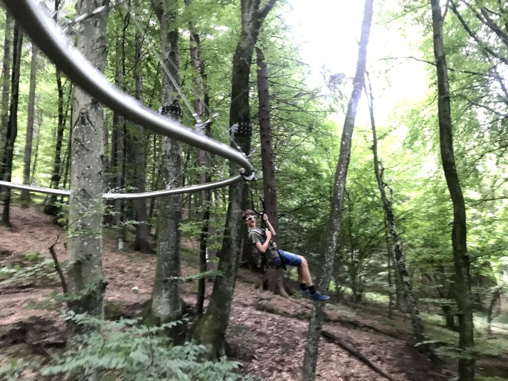Natur Freizeitpark mit Waldachterbahn - an der Flyline schwebst du durch den Wald