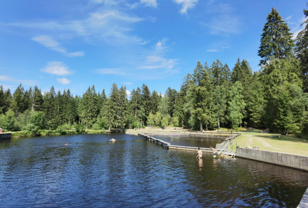 Geheimtipp im Fichtelgebirge mit Kindern: Der Naturbadesee mit Moorbad und Spielplatz - ohne Eintritt