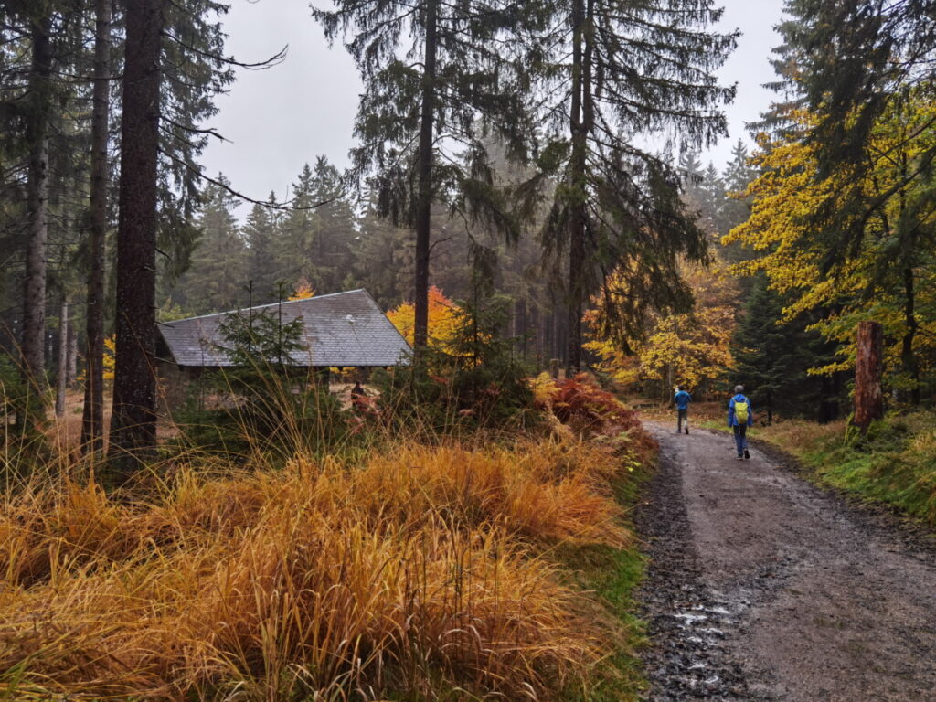 So kannst du zum Oberpfalzturm Wandern