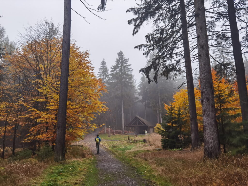 Durch den Steinwald zum Oberpfalzturm Wandern