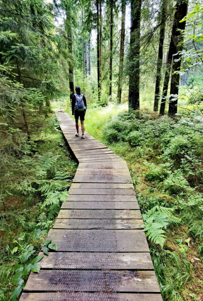 Fichtelgebirge wandern mit Kindern