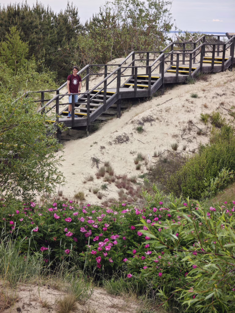 Der neue Aufstieg über die Treppe auf die Parnidis Düne